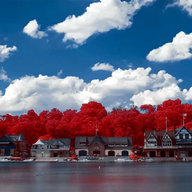 The Day Wonderland Stood Still, Bruce W. Berry Jr