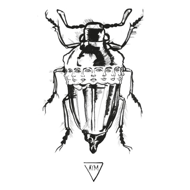 Bug of June, nuemp Bug of June, nuemp