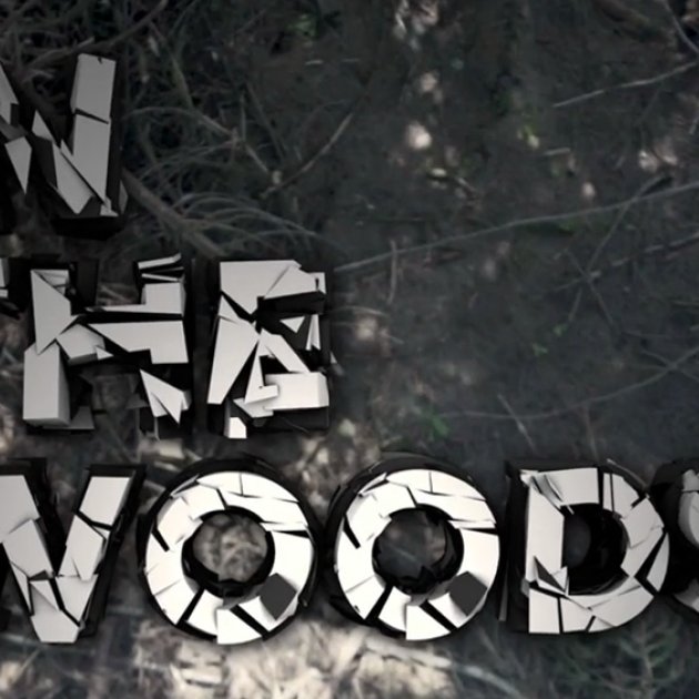 In The Woods, Amir Kabbani In The Woods, Amir Kabbani