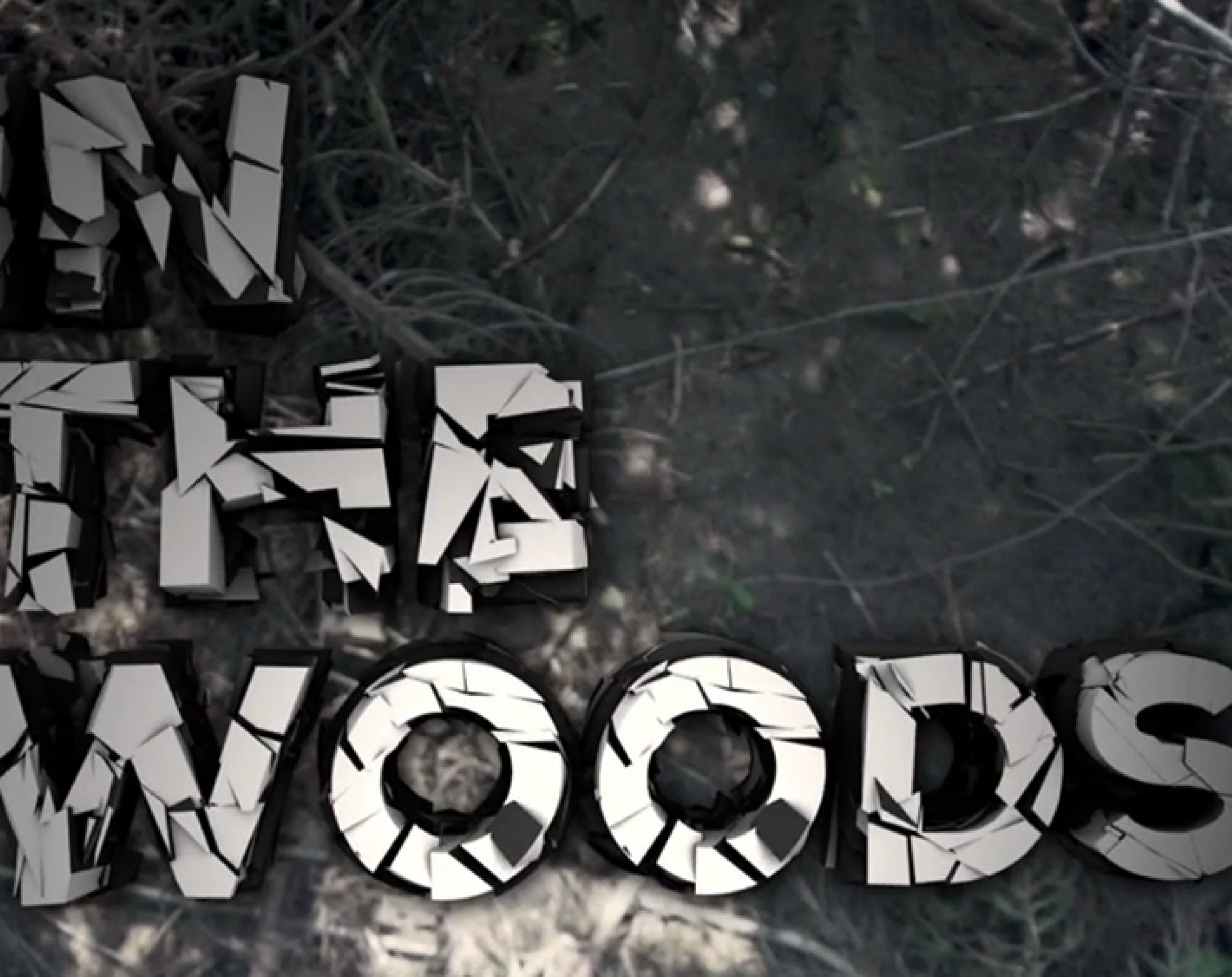 In The Woods, Amir Kabbani