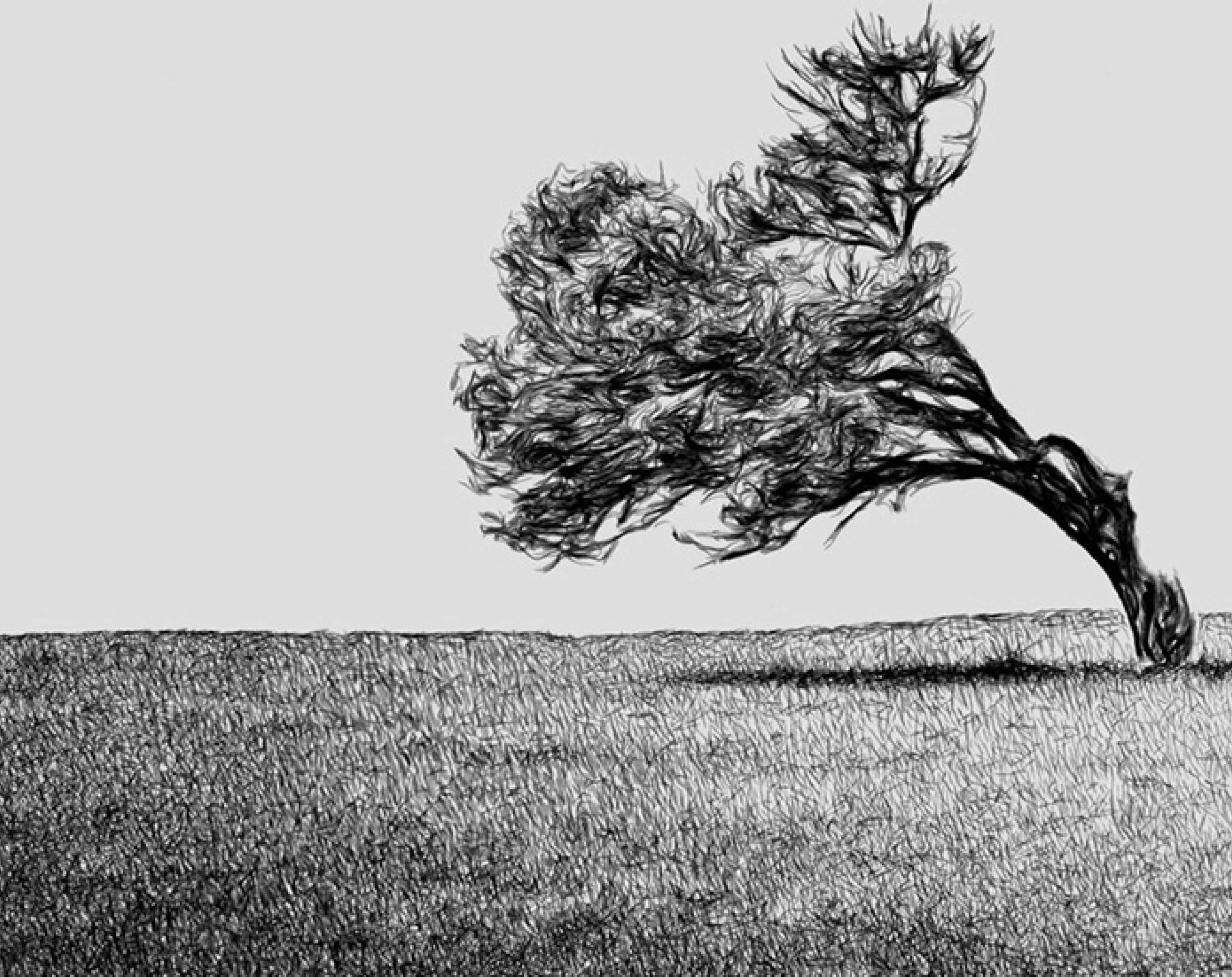 Malender Roboter, e-David Malender Roboter, e-David