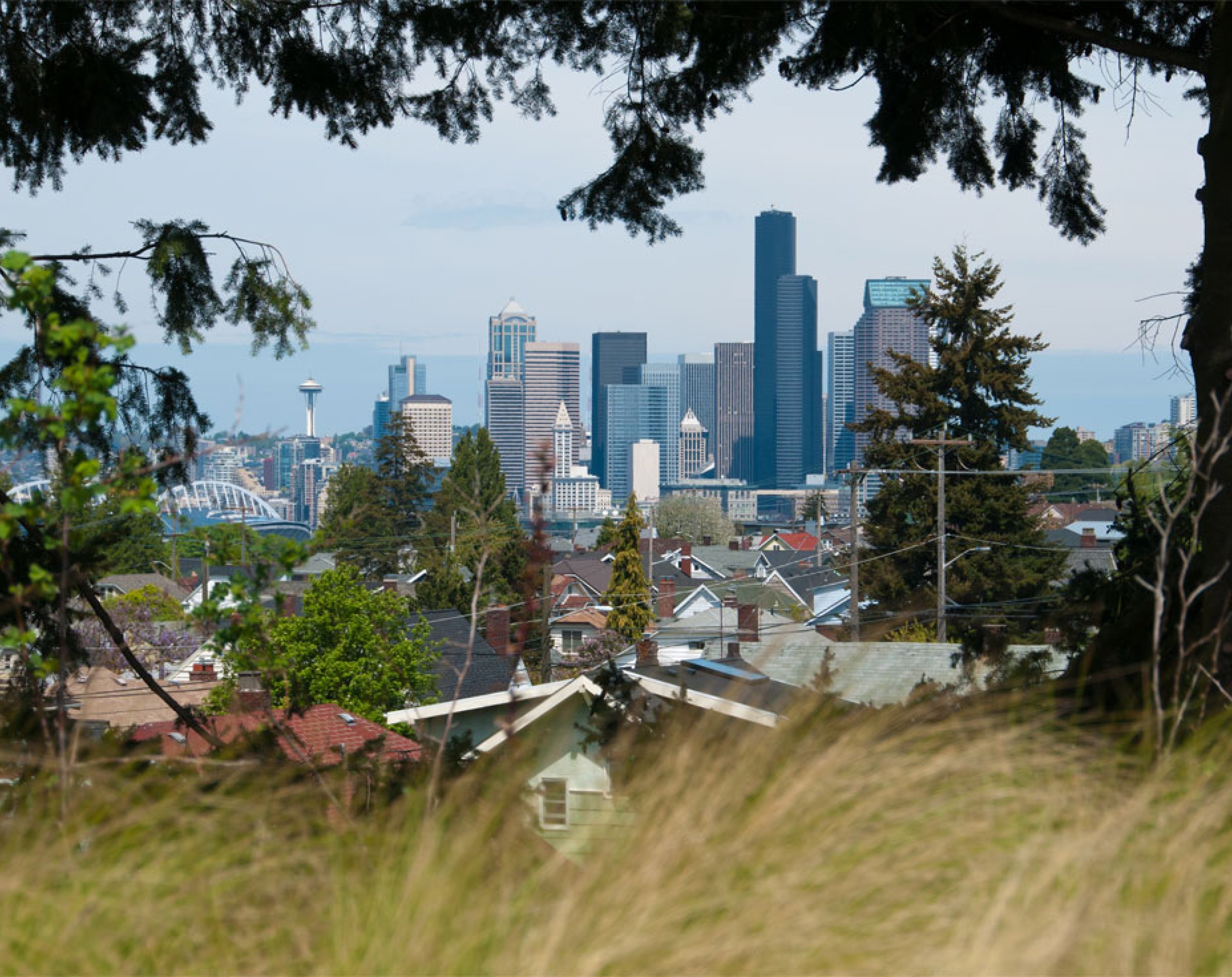 Öffentlicher Nahrungswald, Seattle