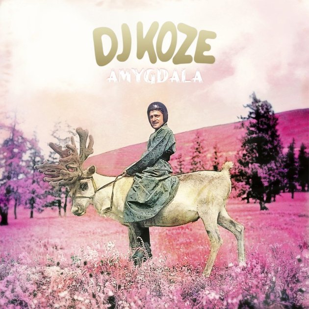Amygdala – Track ID Anyone, DJ Koze & Caribou Amygdala – Track ID Anyone, DJ Koze & Caribou