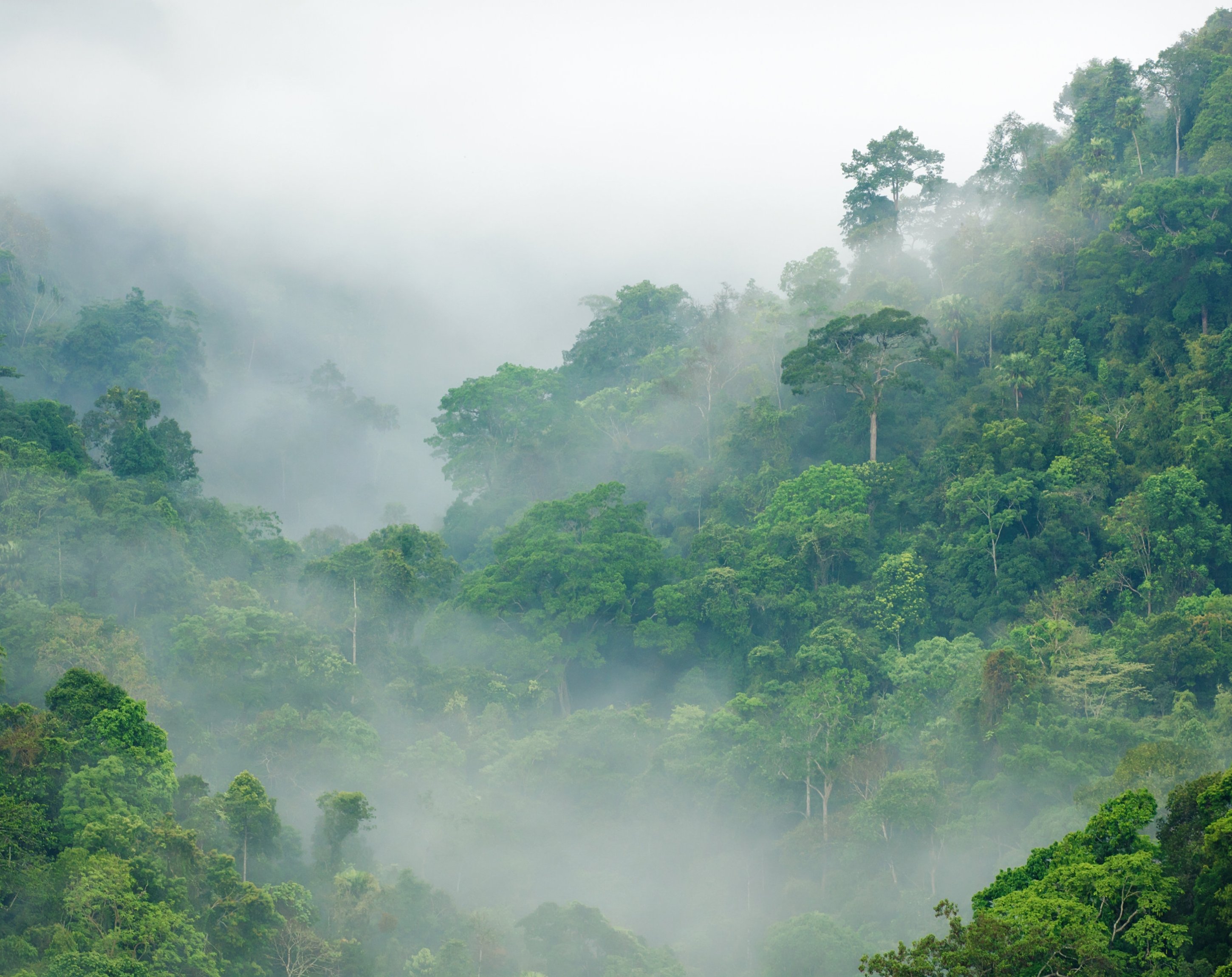 Gewaltfrei investieren, VEGN ETF