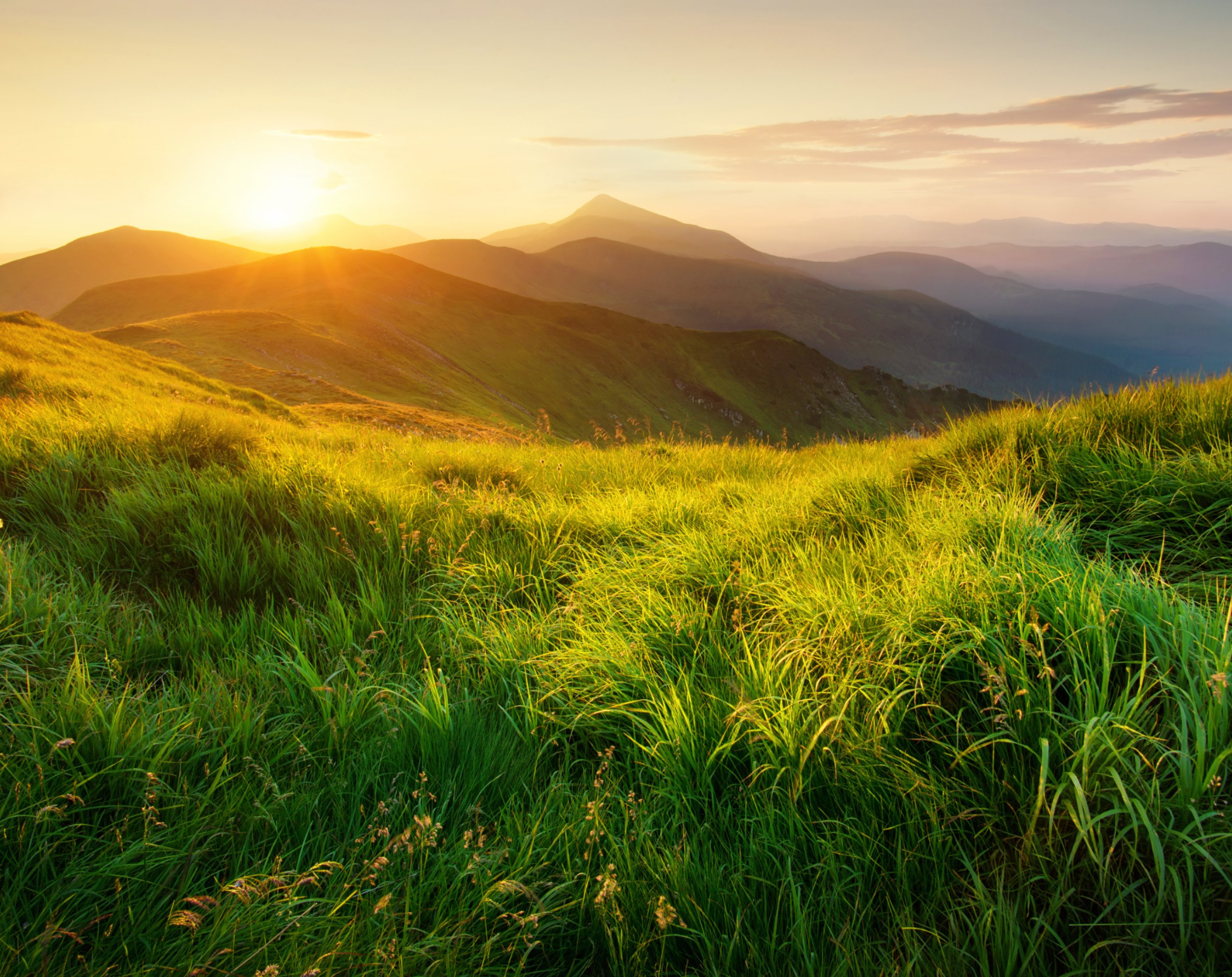 Freed from surveillance capitalism, De-Googled websites Freed from surveillance capitalism, De-Googled websites