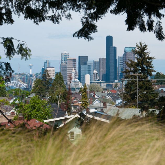Öffentlicher Nahrungswald, Seattle Öffentlicher Nahrungswald, Seattle