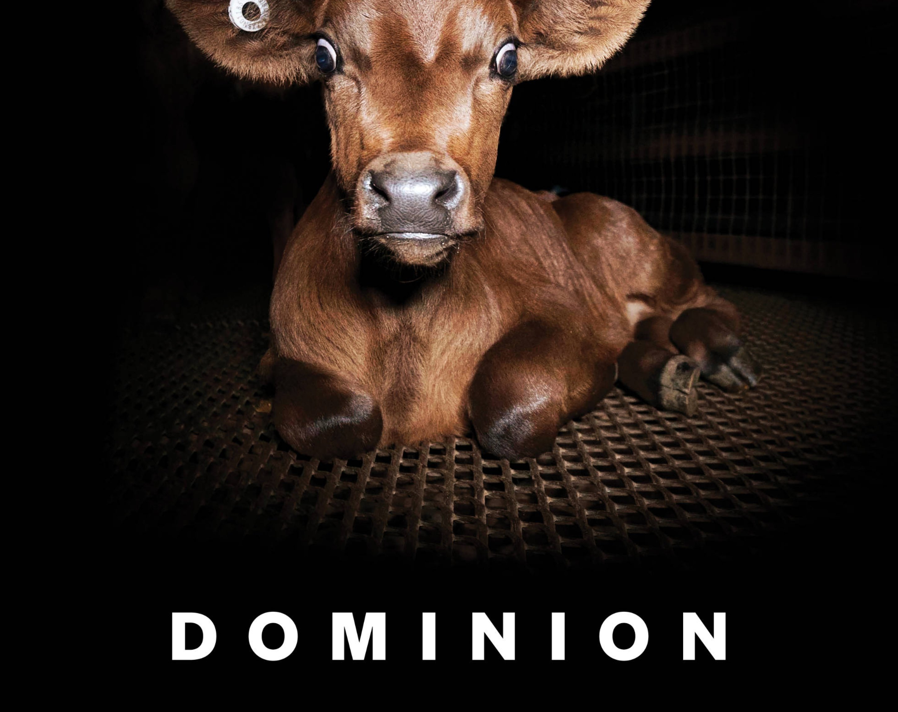 Dominion, Joaquin Phoenix & Rooney Mara