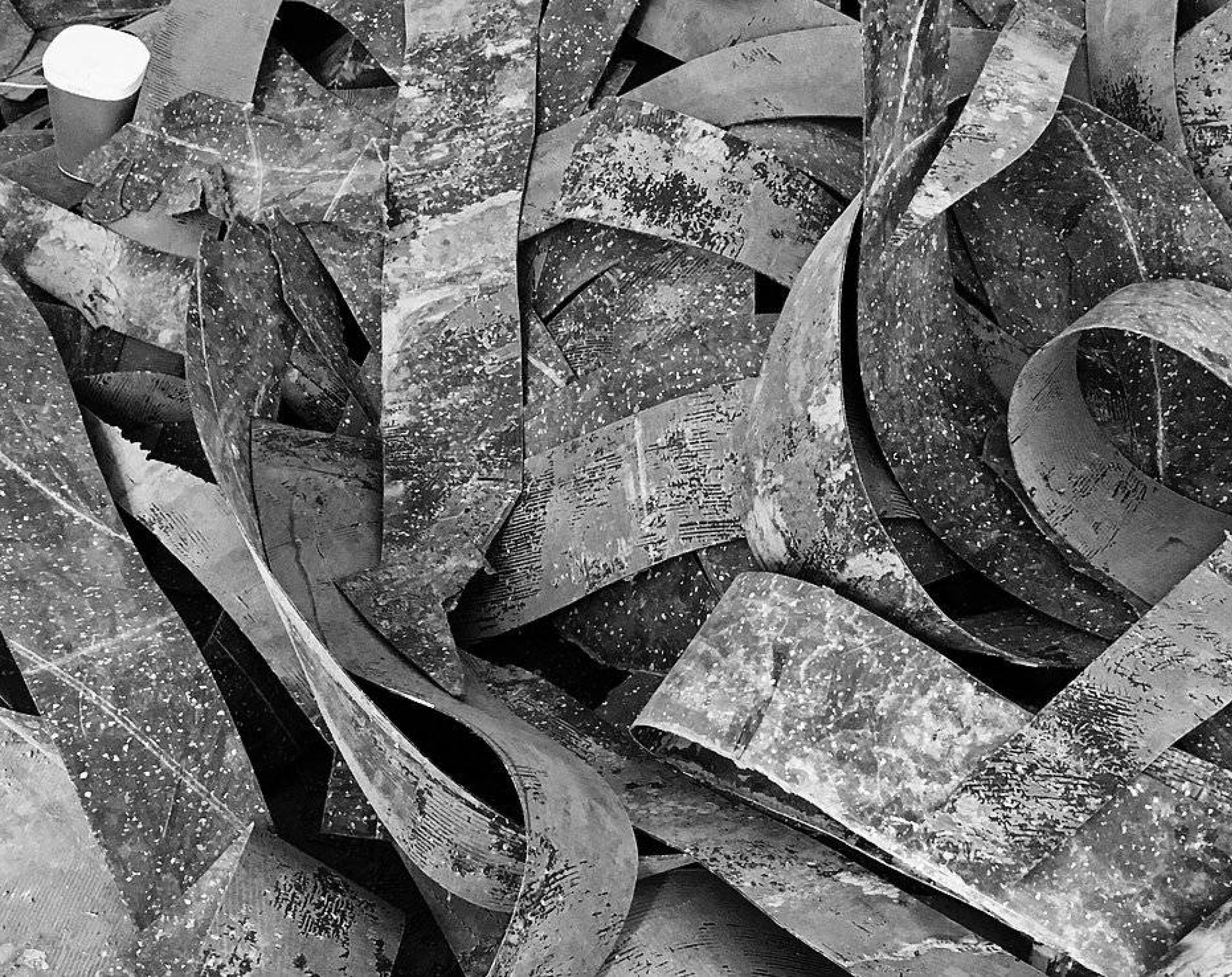 Achtjahresjubiläum, OBST&GEMÜSE