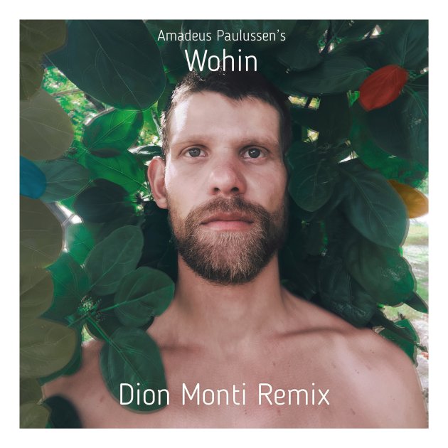 Wohin (Dion Monti Remix), Amadeus Paulussen Wohin (Dion Monti Remix), Amadeus Paulussen