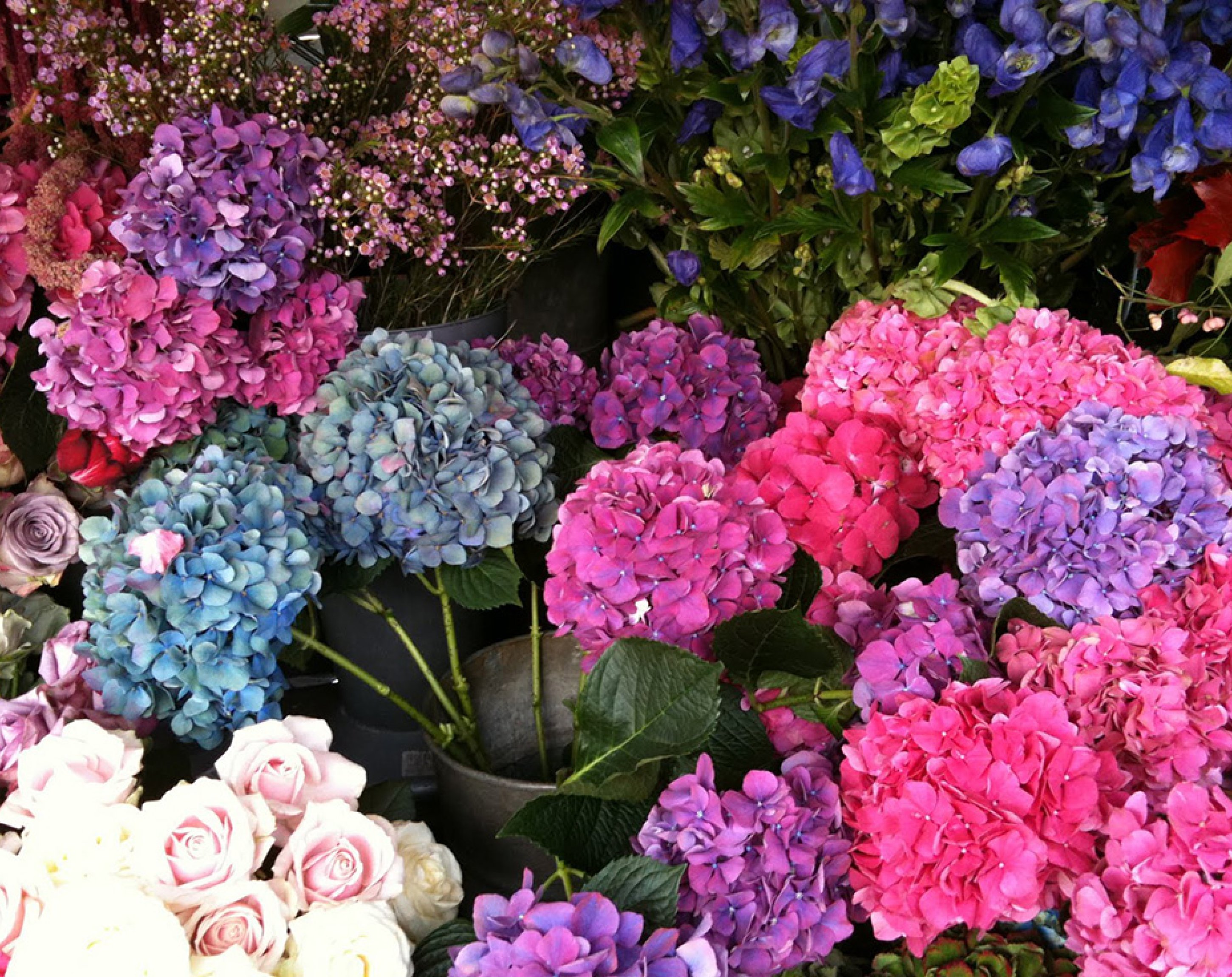 Swiss Institute for Peace and Energy Research, SIPER