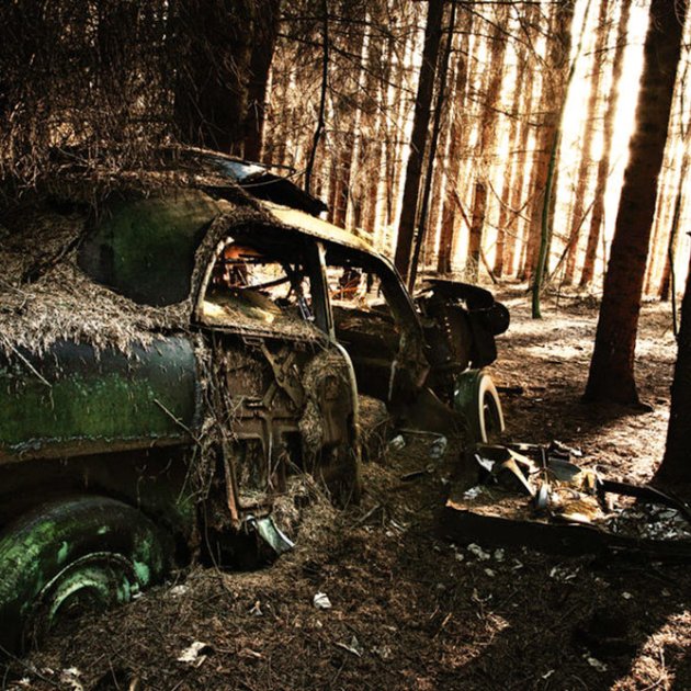 Forest Punk, Dieter Klein Forest Punk, Dieter Klein