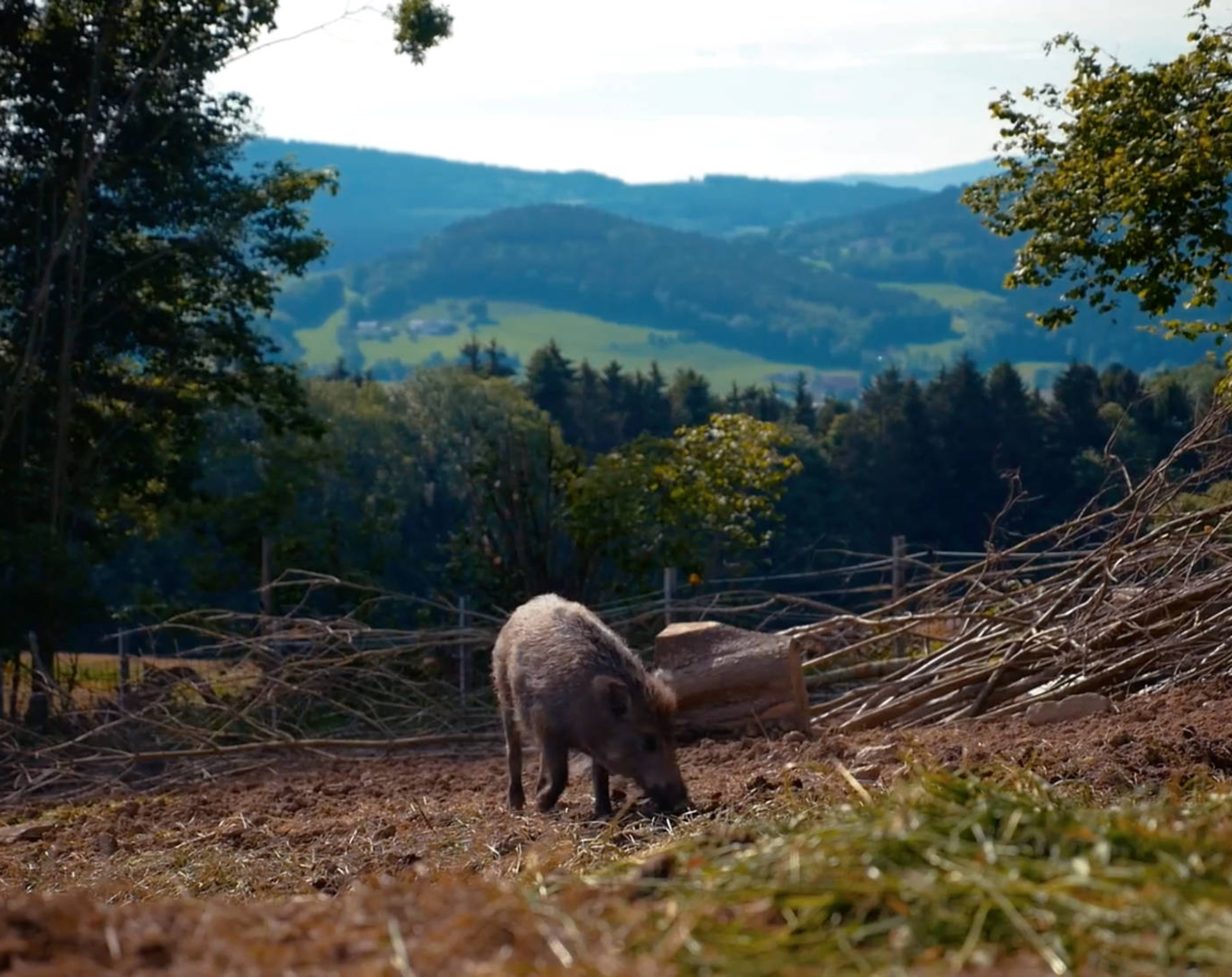 Paradies-Prototyp, Erdlingshof