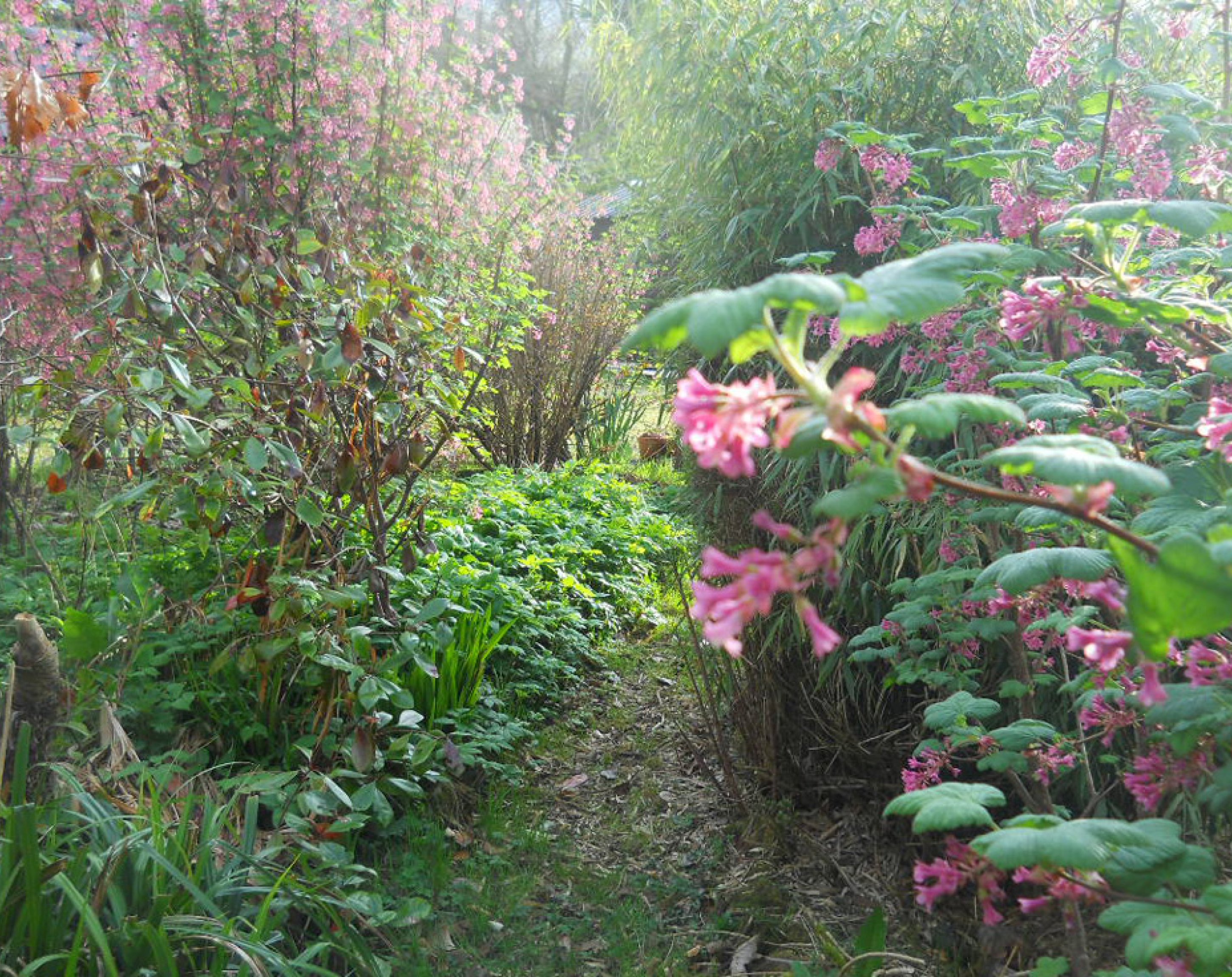 Stiftung für Erfüllung ohne Geld, kubus media