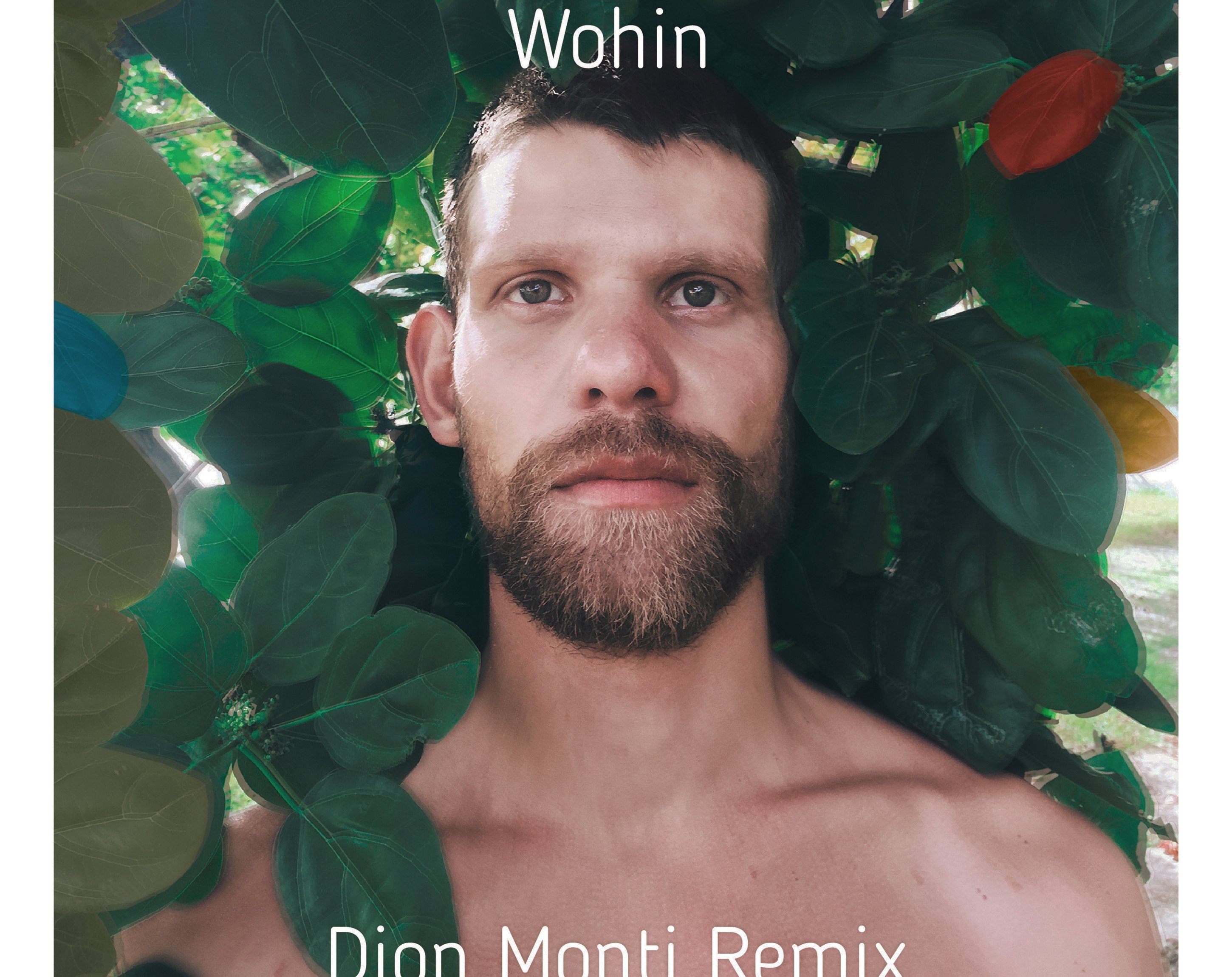 Wohin (Dion Monti Remix), Amadeus Paulussen