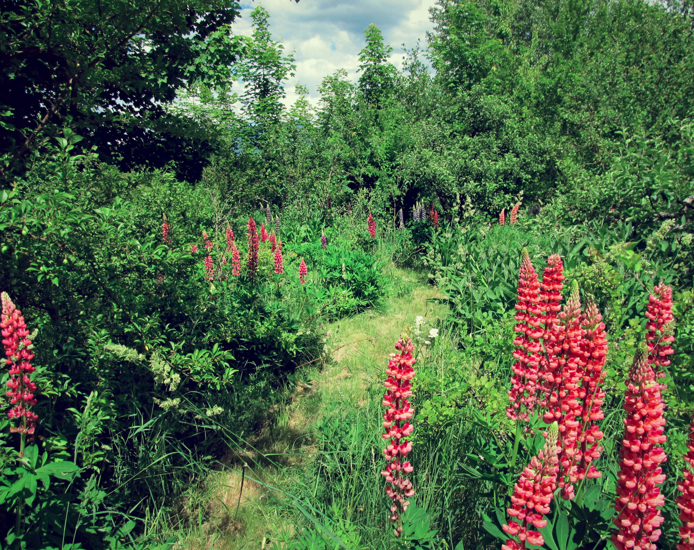 Zwischenstand, Vorhaben Zwischenstand, Vorhaben