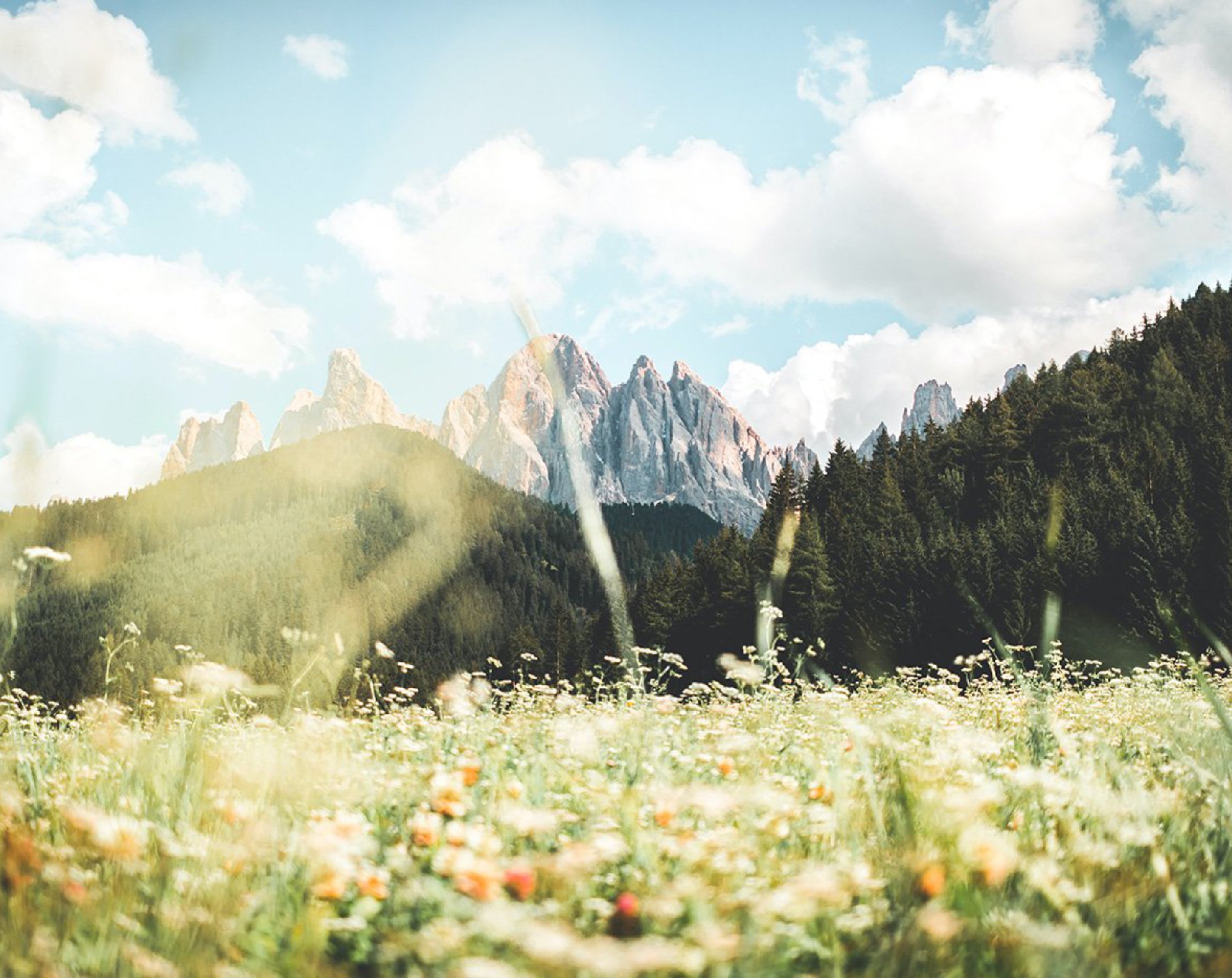 Schweiz ohne Pestizide, #LebenstattGift