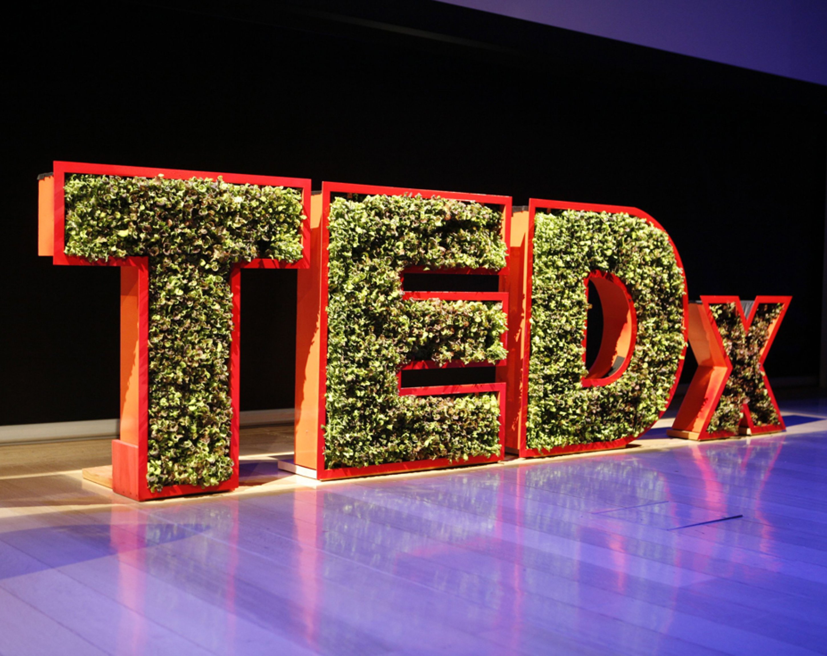 Interessante Reden, TEDxManhattan Interessante Reden, TEDxManhattan