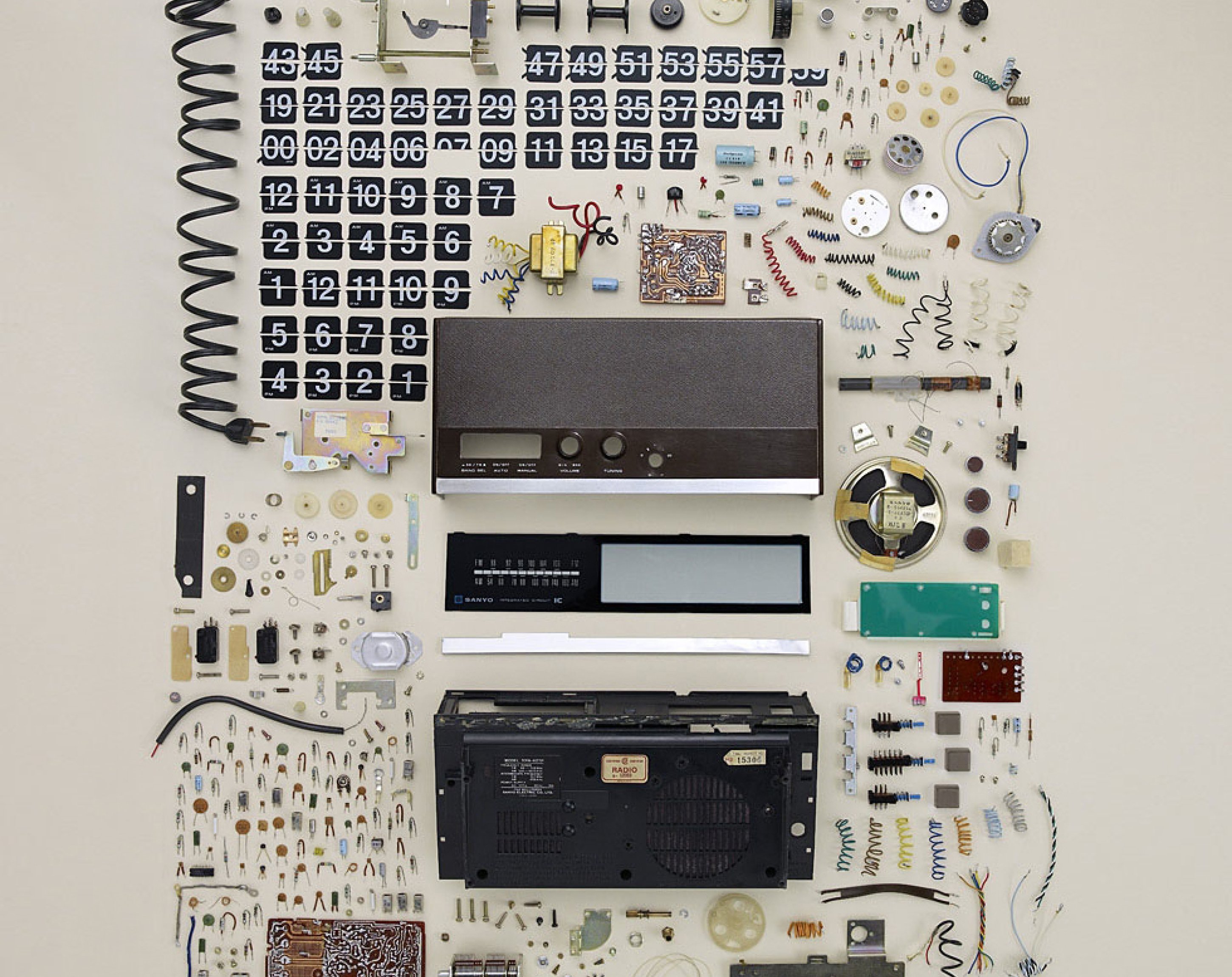 Disassembly, Todd McLellan