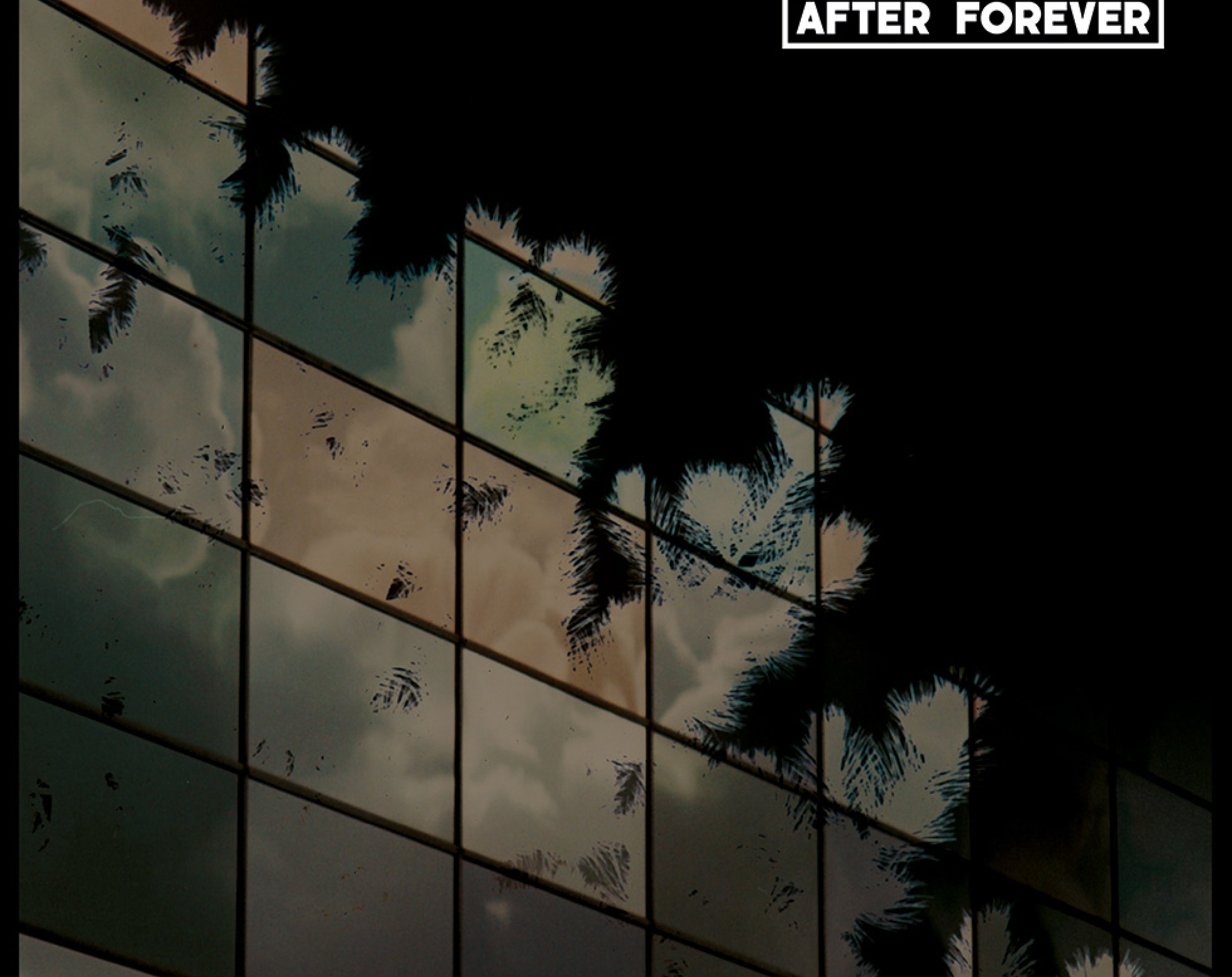 After Forever, Joey Anderson