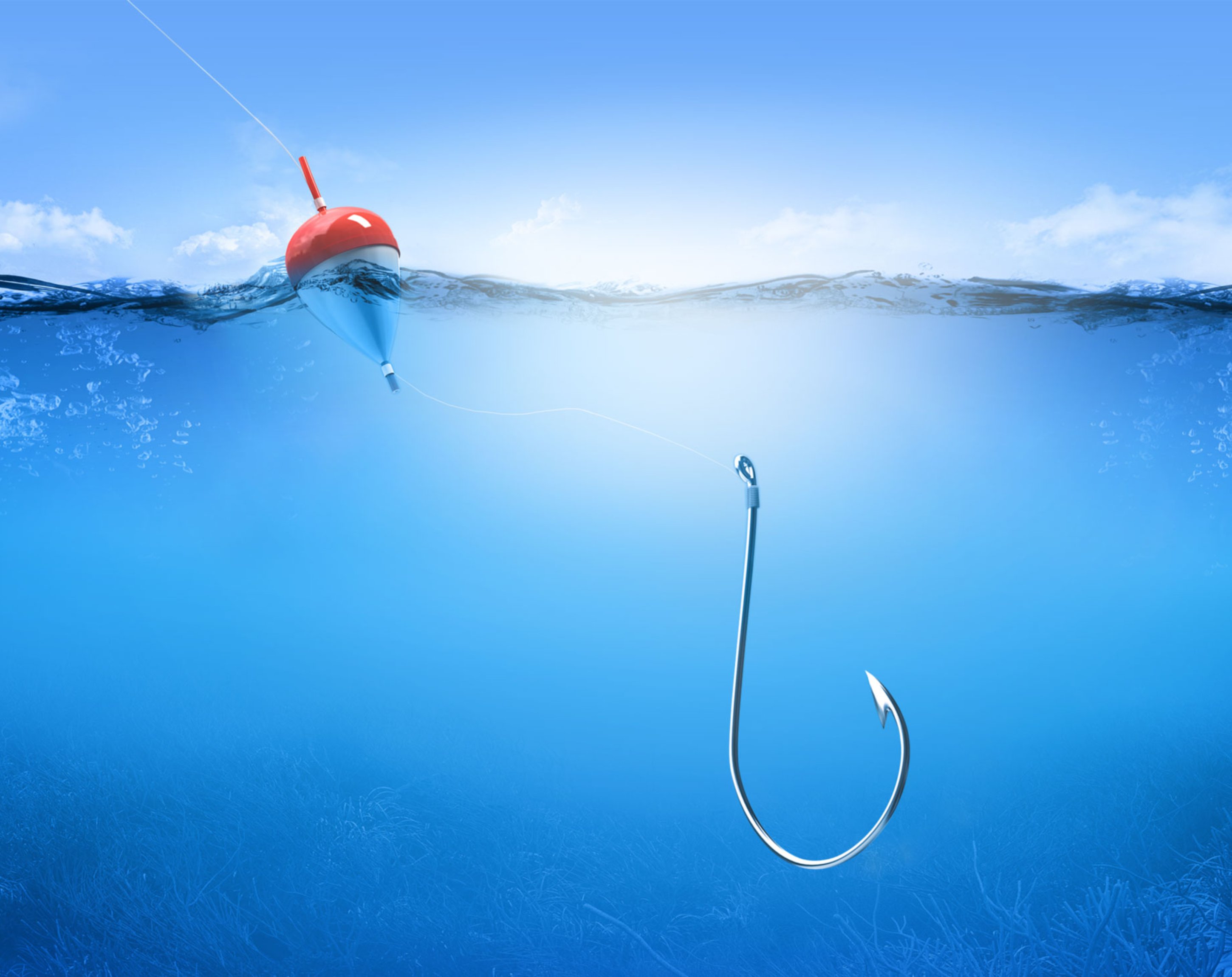 Website, nexellent Website, nexellent