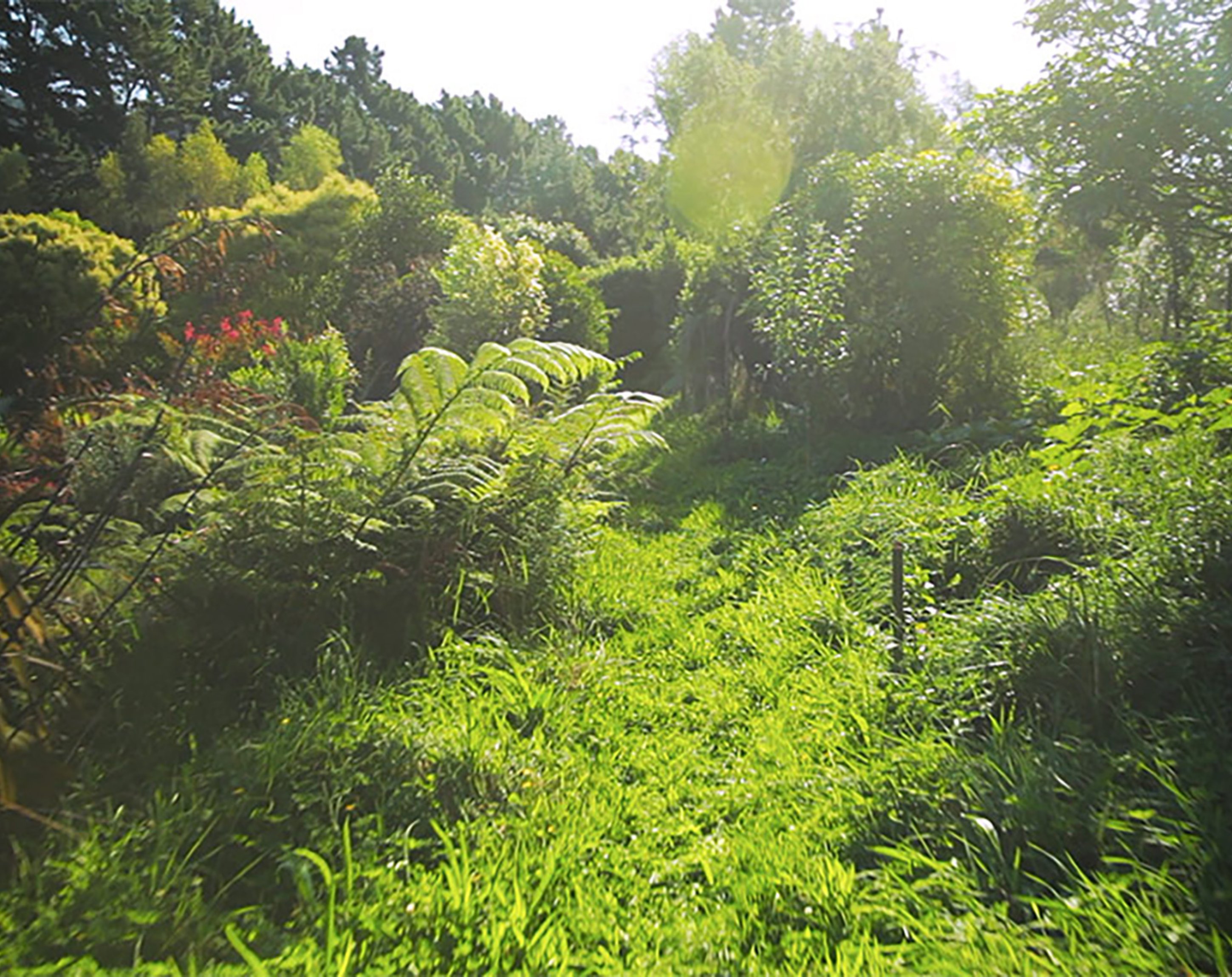 Living the Change, Happen Films Living the Change, Happen Films