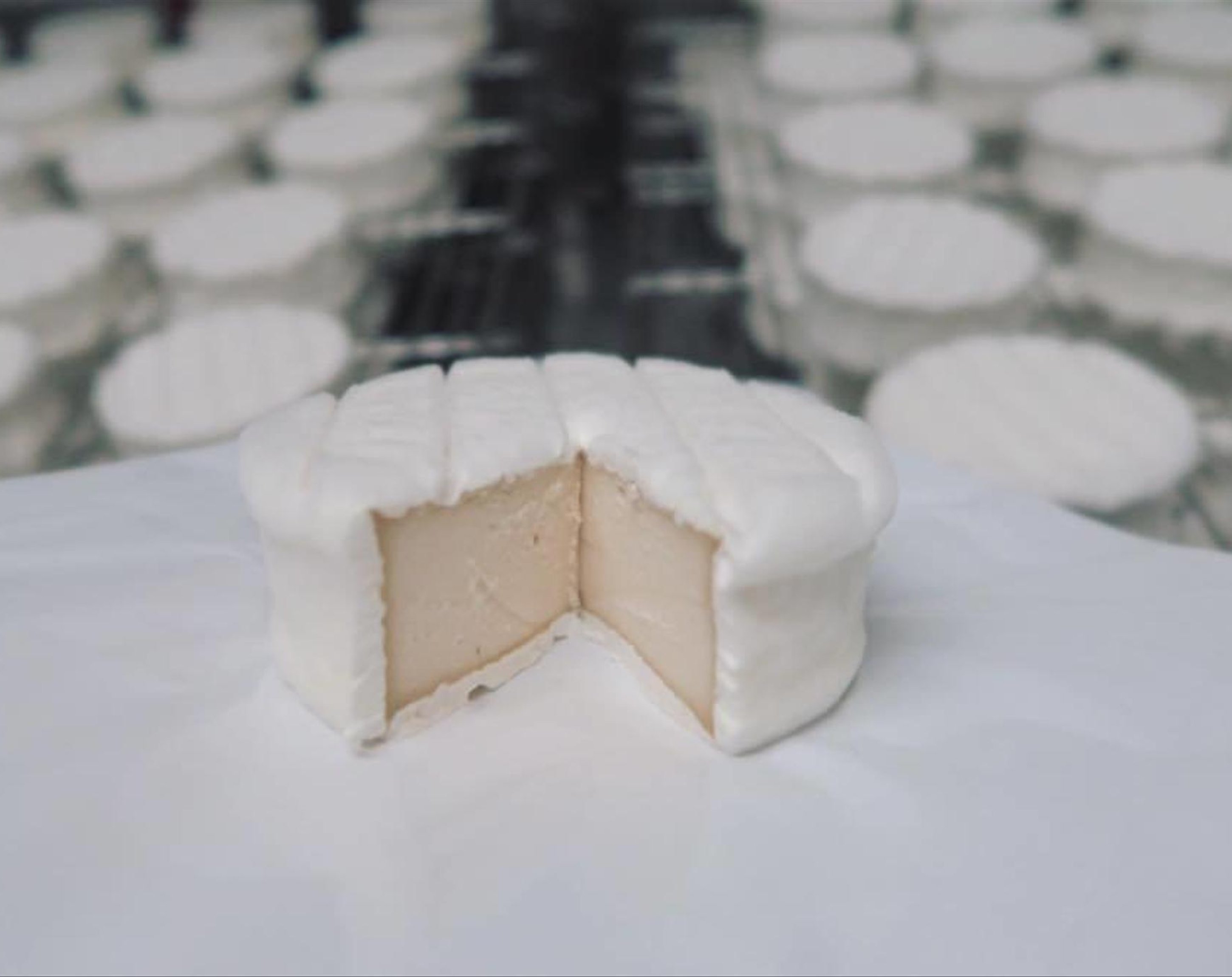 Veganer Rohkostkäse, New Roots