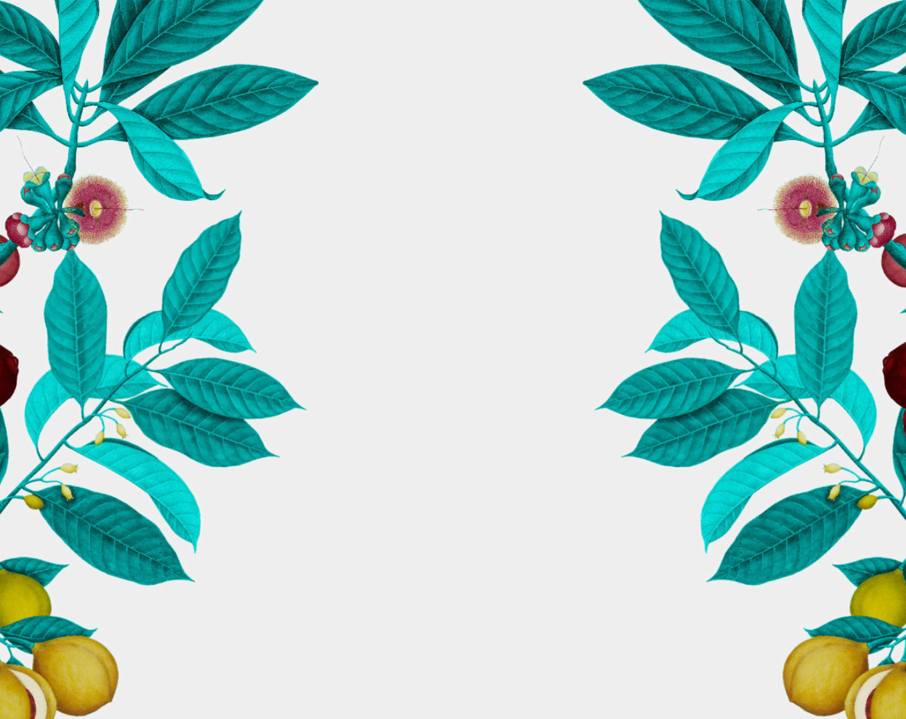 Innovationsprogramm für Lebensmitteldaten, Open Food Data