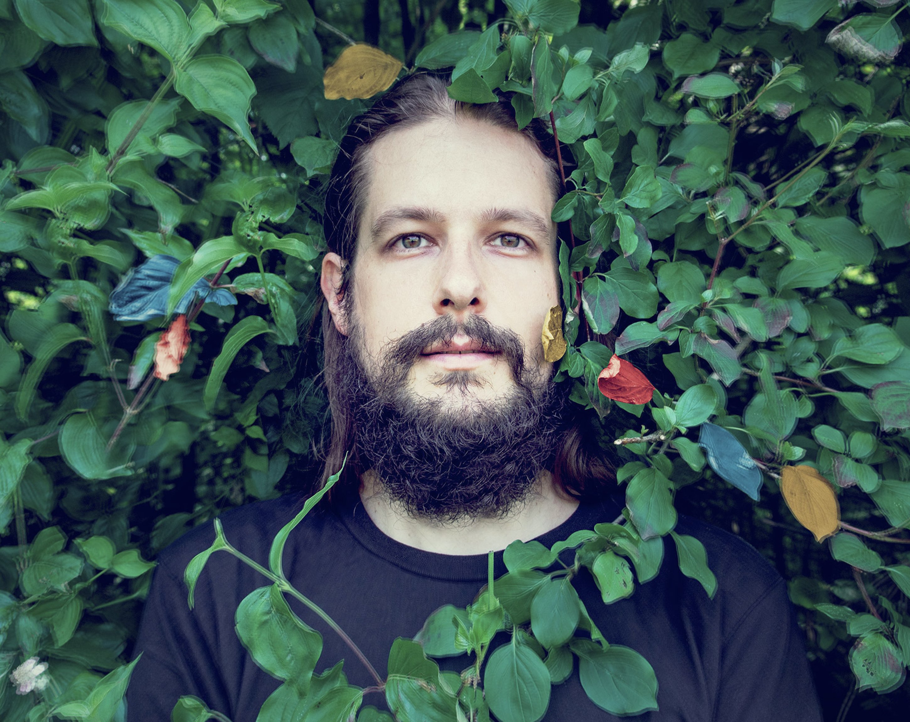 Debütalbum "1", Amadeus Paulussen