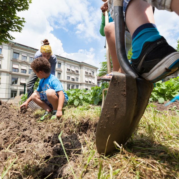 Website, Bildungslandschaften Basel