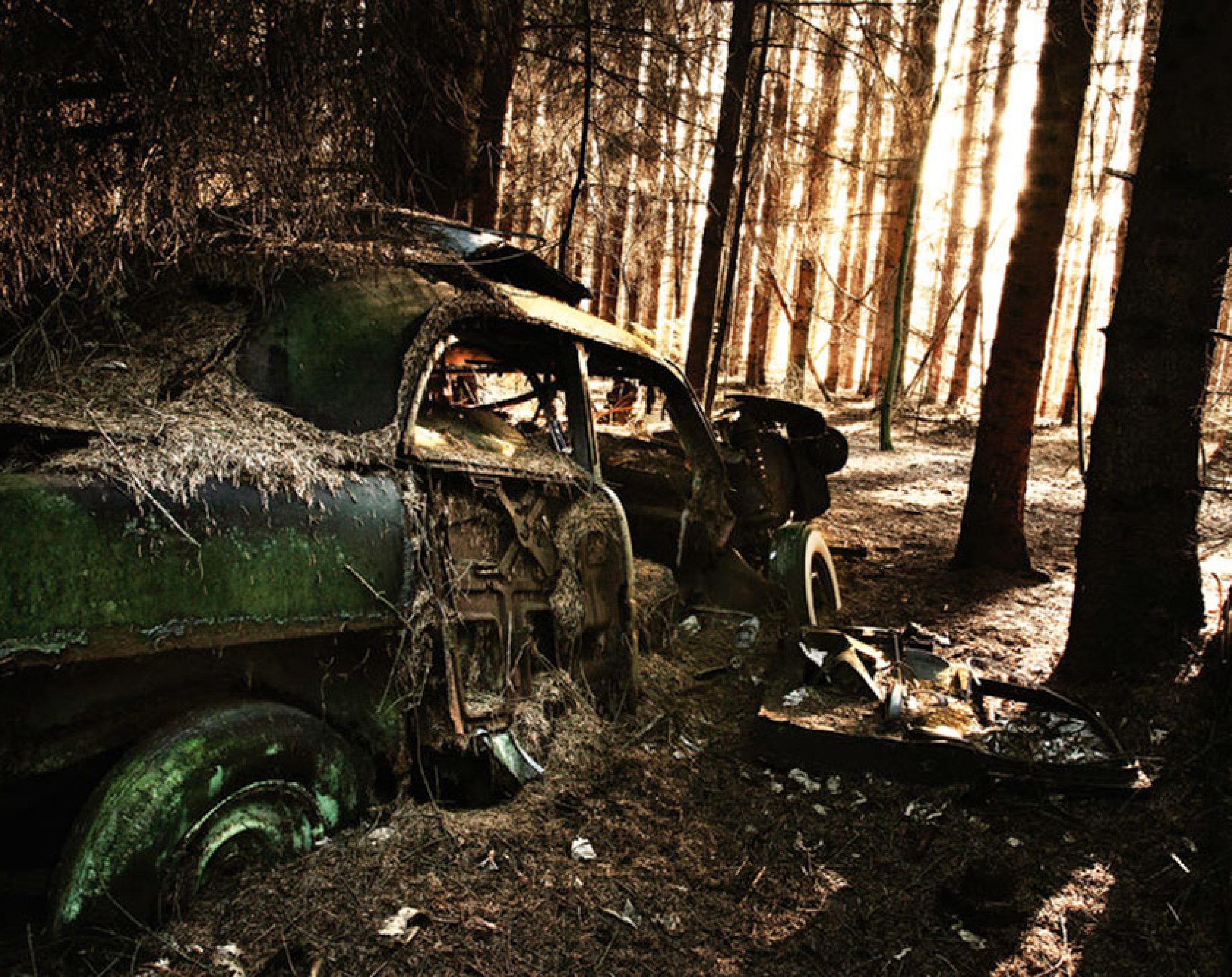 Forest Punk, Dieter Klein Forest Punk, Dieter Klein