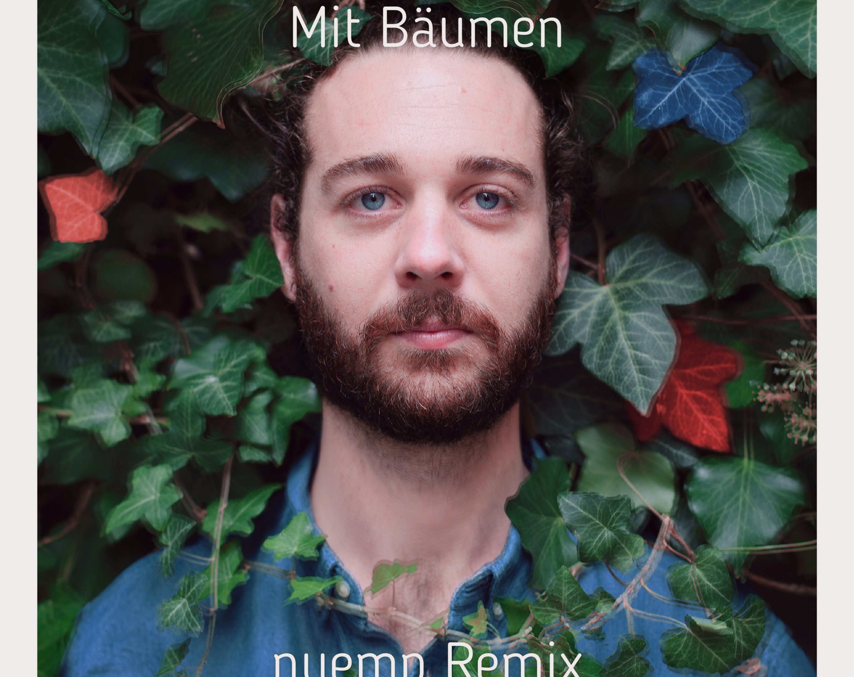 Mit Bäumen (nuemp Remix), Amadeus Paulussen Mit Bäumen (nuemp Remix), Amadeus Paulussen