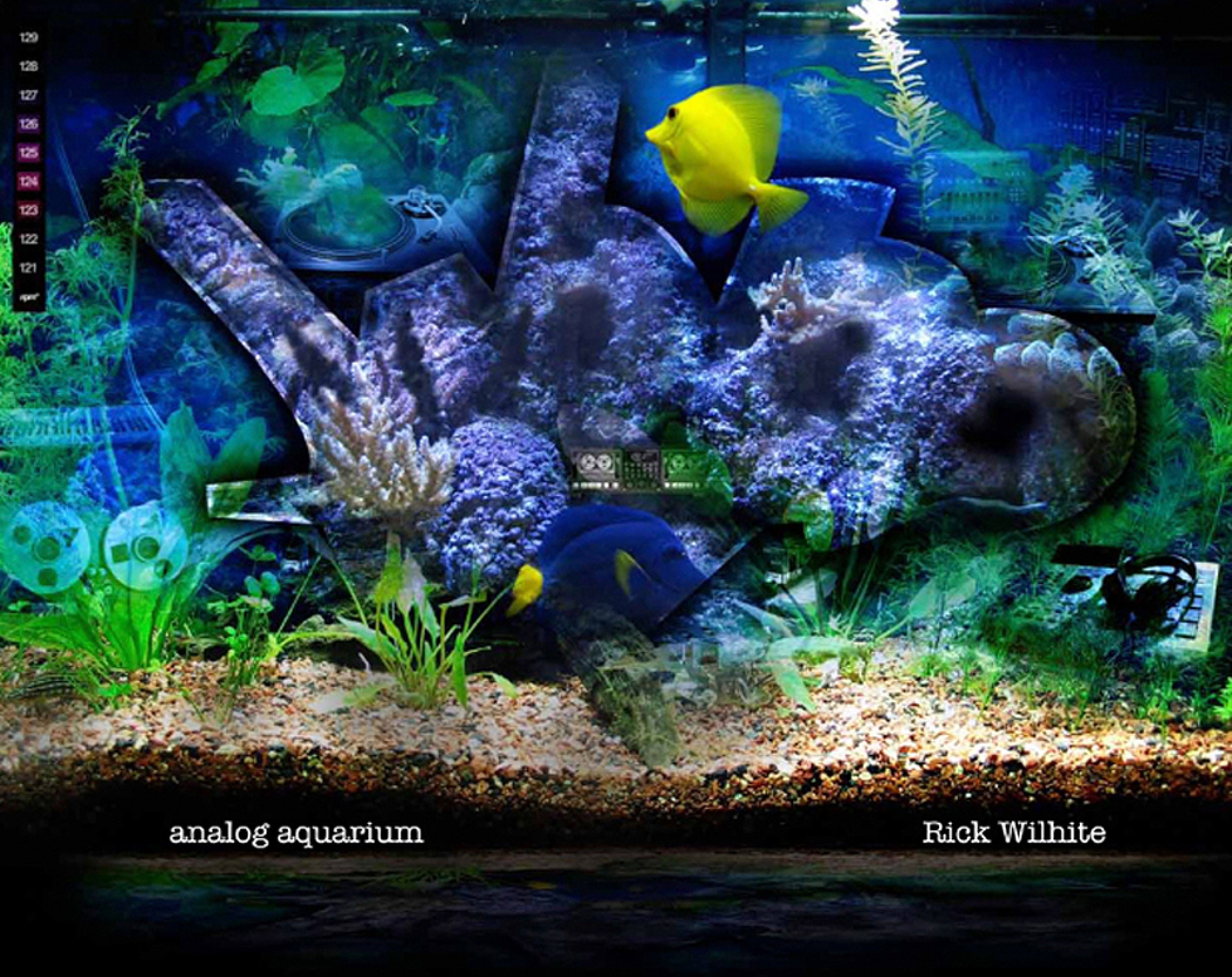 Analog Aquarium, Rick Wilhite