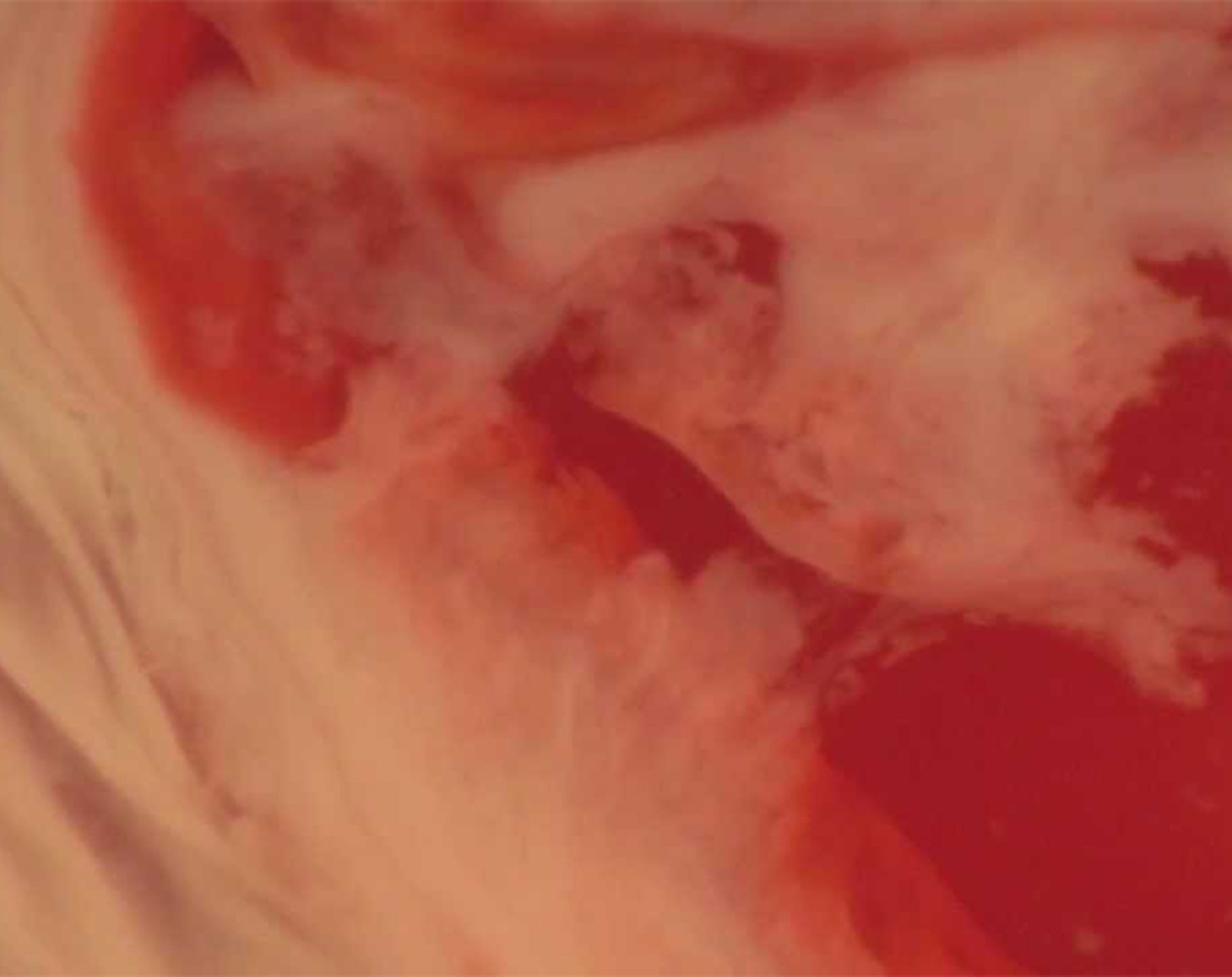 Rained the whole Time (Nicolas Jaar Remix), Shlohmo