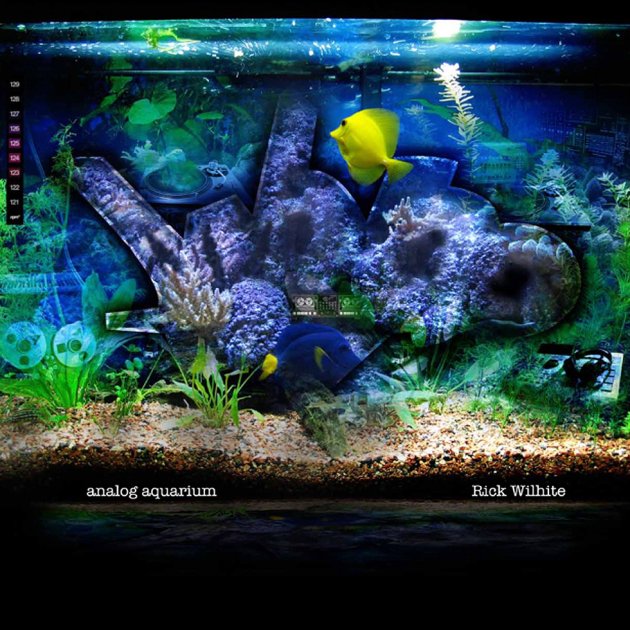 Analog Aquarium, Rick Wilhite Analog Aquarium, Rick Wilhite