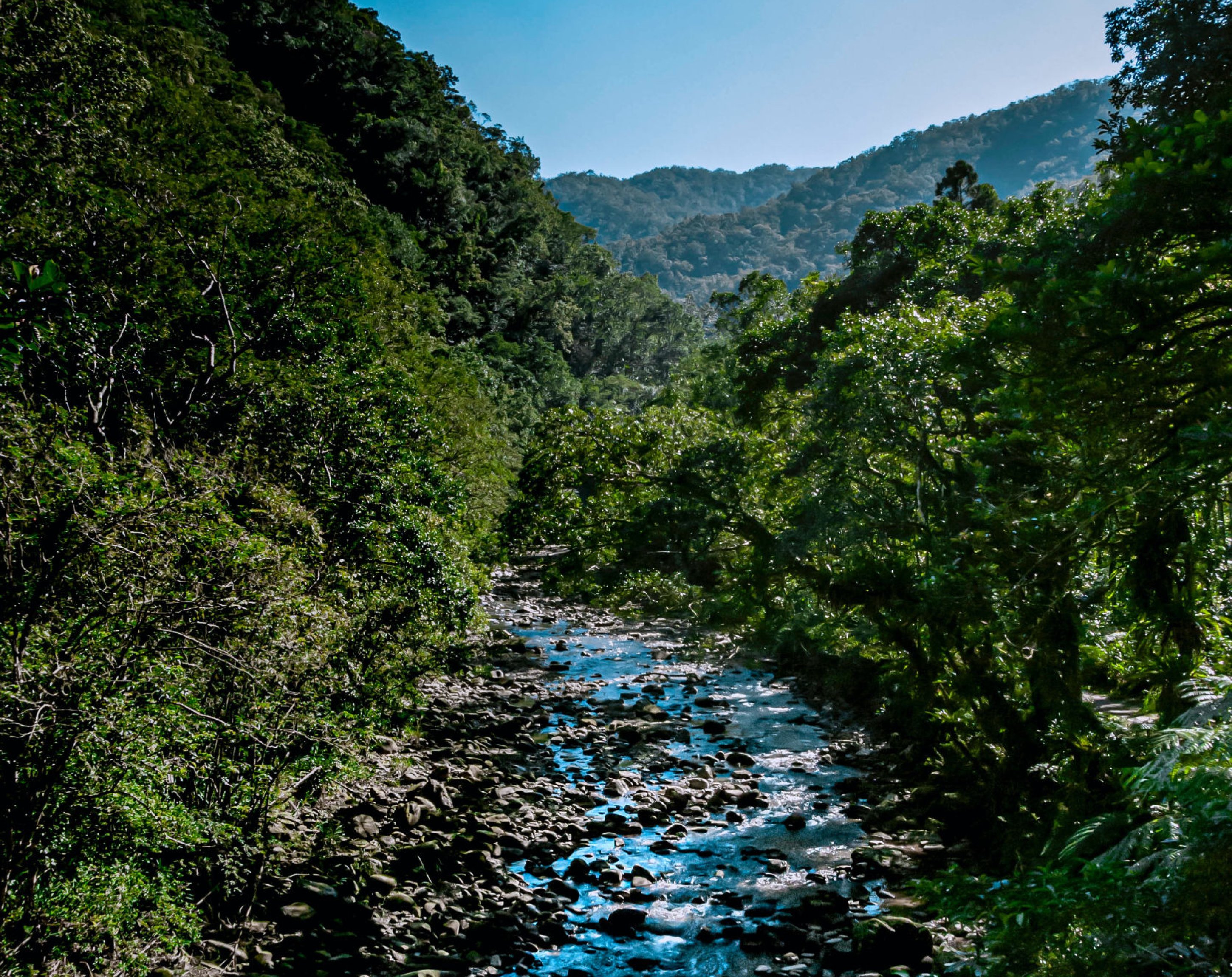 Selbständigkeit, Reflexion