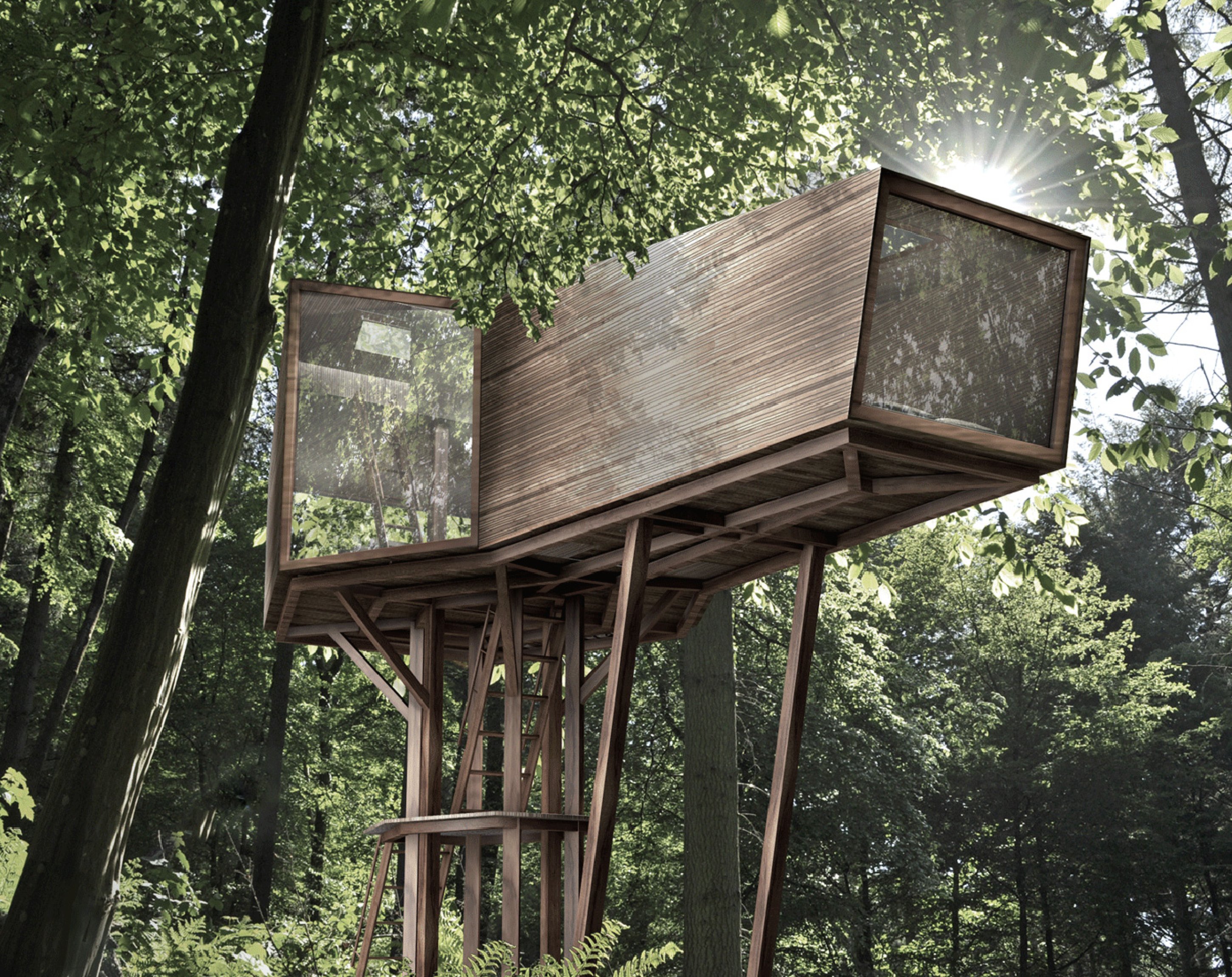 Inhabit, Antony Gibbon