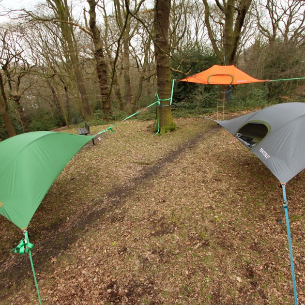 Stingray, Tentsile Stingray, Tentsile