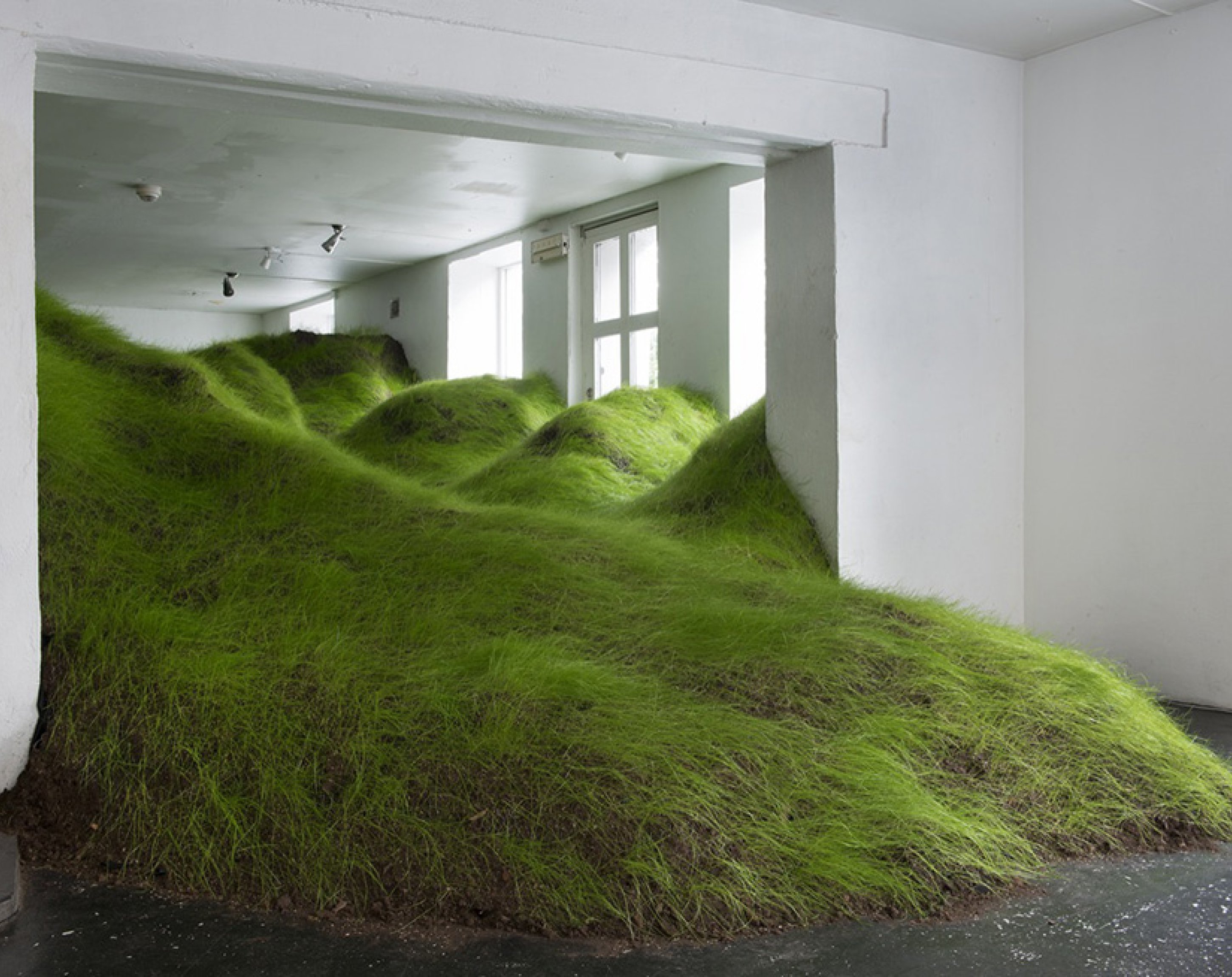 NoPlace, Per Kristian Nygård