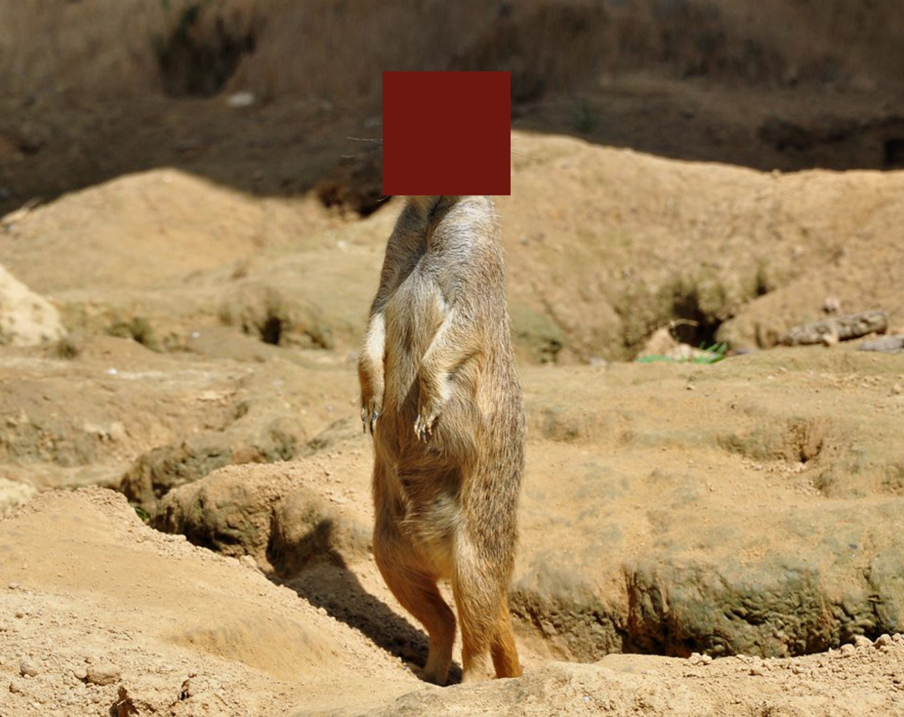 Ballaballabar #3, kubus media