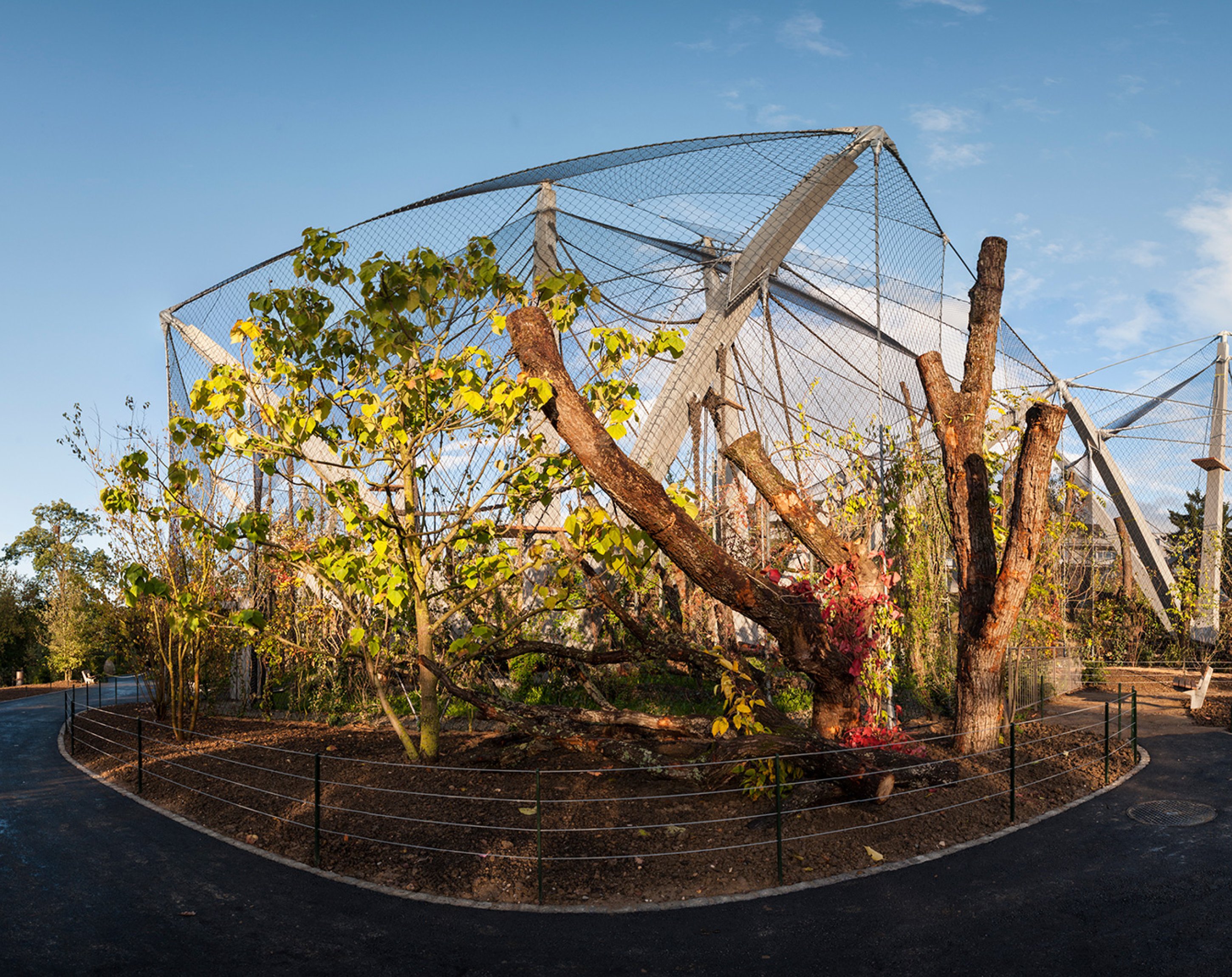 20% Freiraum, kubus media 20% Freiraum, kubus media