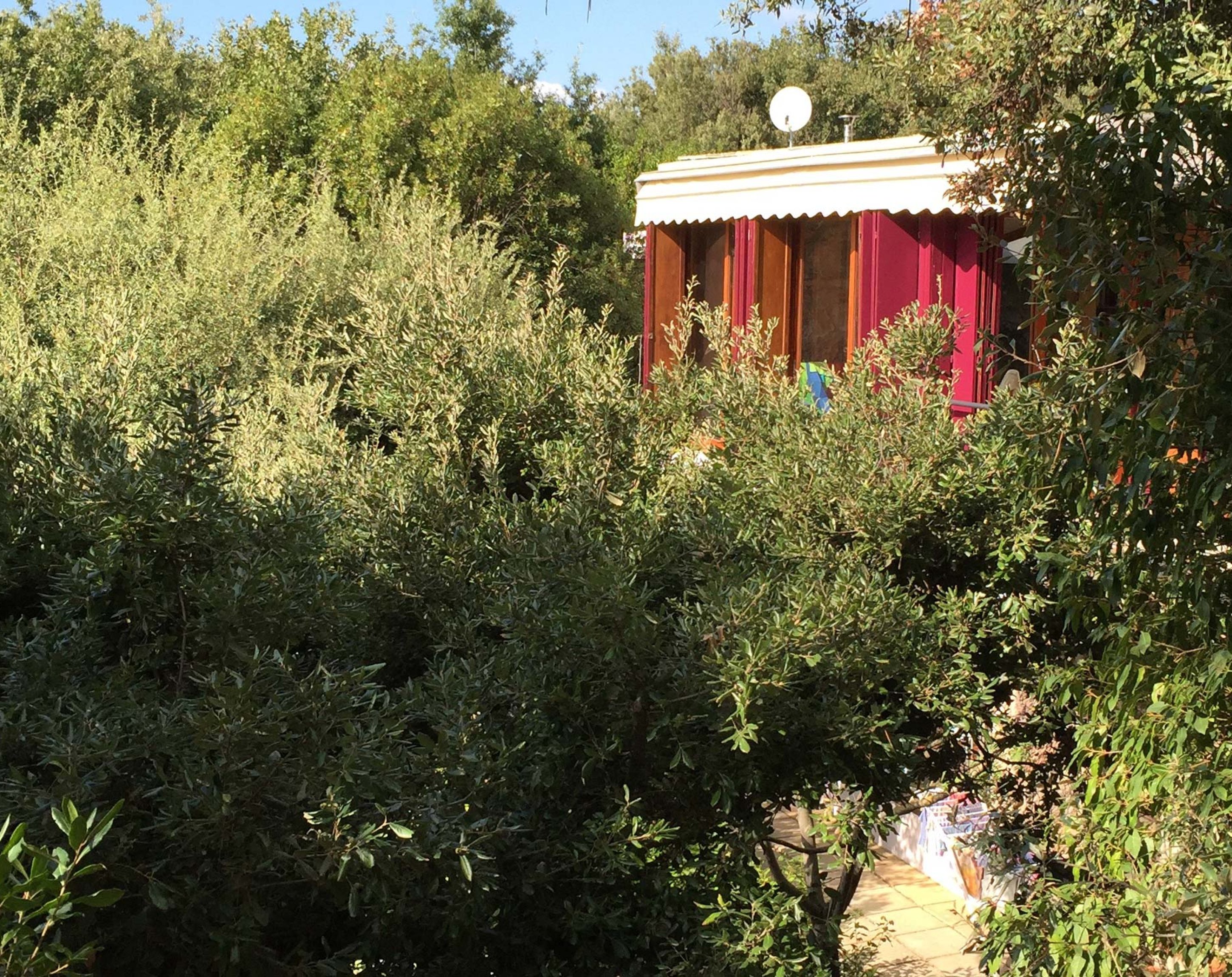 Dolce far niente, Campiglia Marittima Toscana Dolce far niente, Campiglia Marittima Toscana